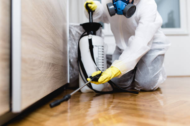 Best Best Pest Control Companies  in Redwood, OR