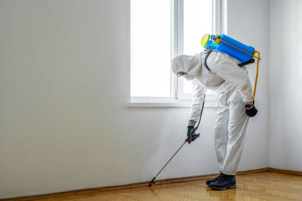 Best Emergency Pest Control  in Redwood, OR
