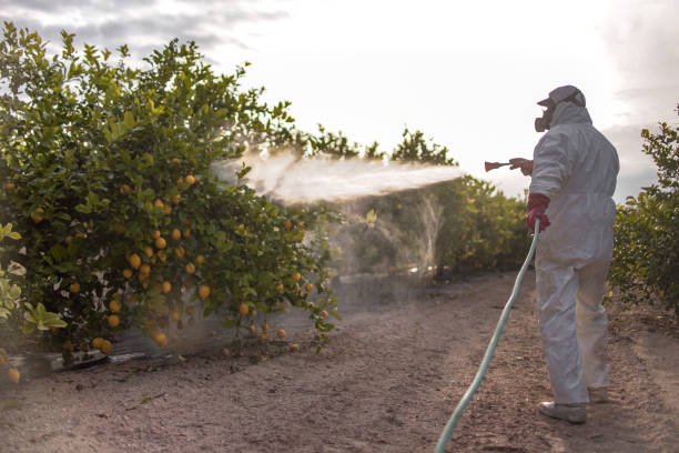  Redwood, OR Pest Control Pros