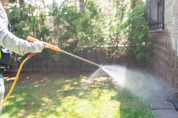 Best Pest Control Near Me in Redwood, OR