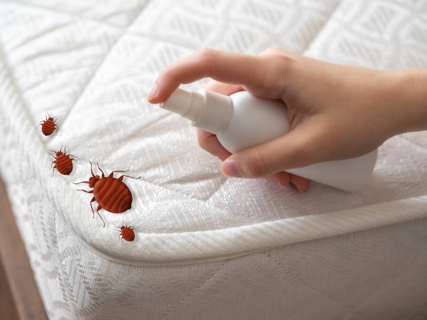 Best Residential Pest Control  in Redwood, OR