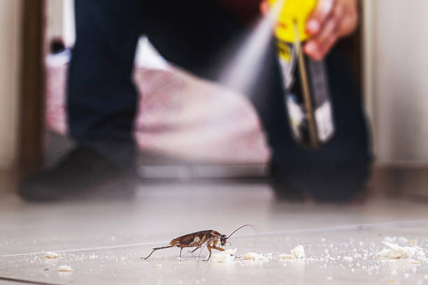 Best Cockroach Control Services  in Redwood, OR