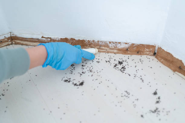 Professional Pest Control in Redwood, OR